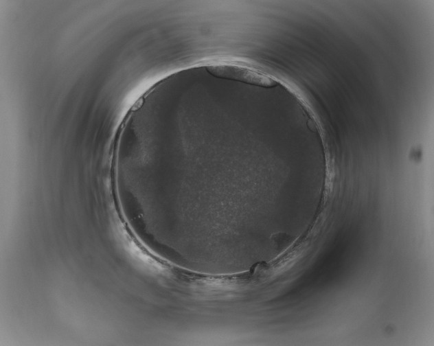 X0000111161102200906301354