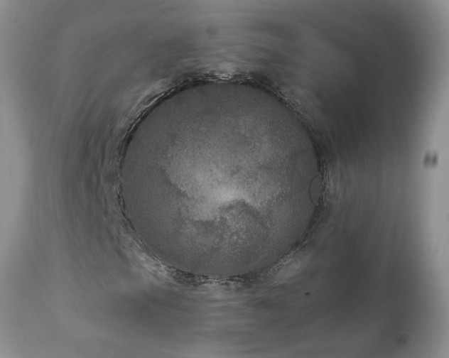 X0000111161105200906301354