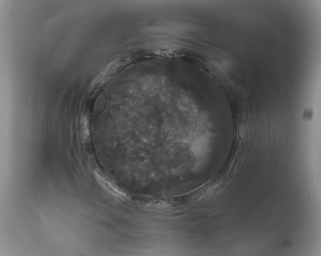 X0000111161106200906301354