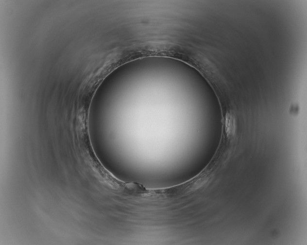 X0000111161107200906301354