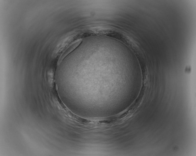 X0000111161108200906301354