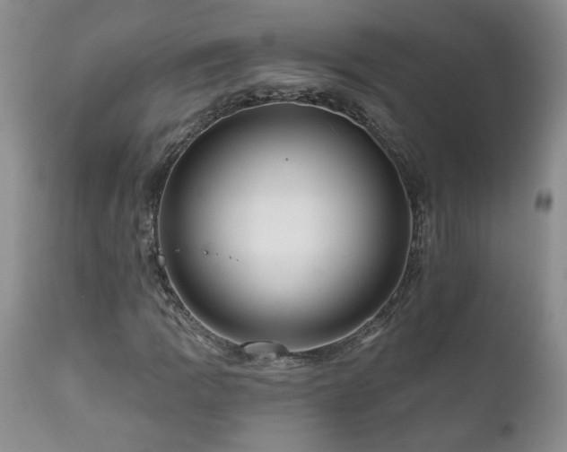 X0000111161109200906301354