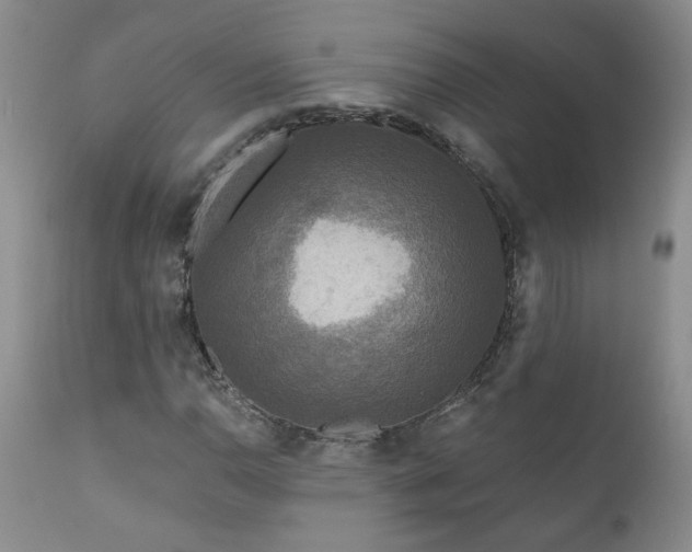 X0000111161110200906301354