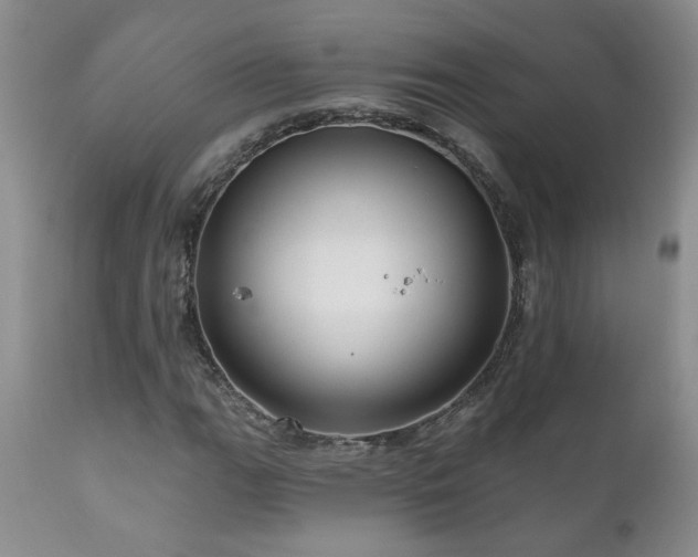X0000111161111200906301354