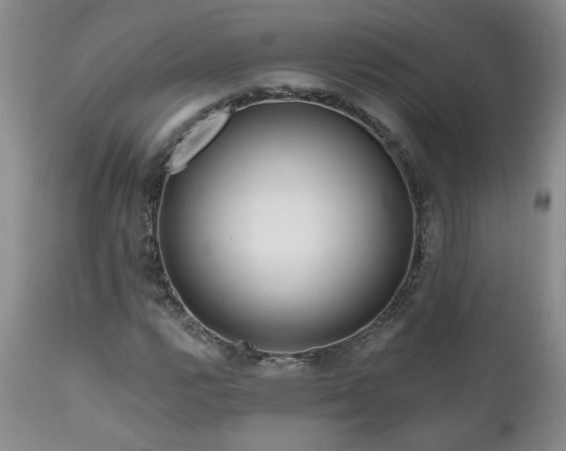 X0000111161112200906301354