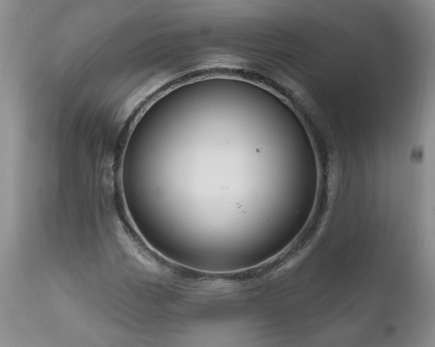 X0000111161113200906301354