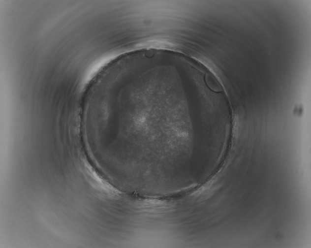 X0000111161115200906301354