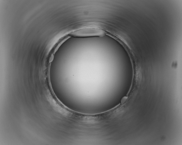 X0000111161116200906301354