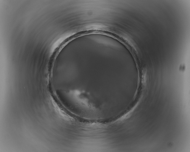 X0000111161117200906301354