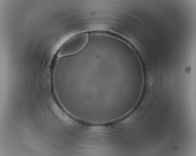 X0000111161118200906301354