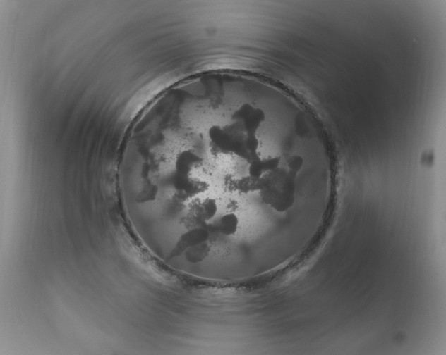 X0000111161121200906301354