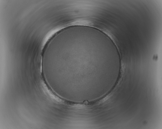 X0000111161123200906301354