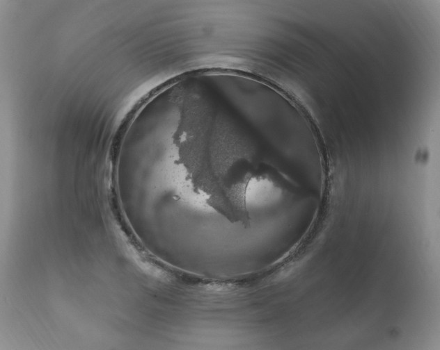 X0000111161125200906301354