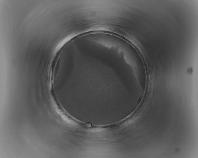 X0000111161127200906301354