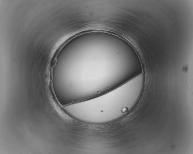 X0000111161128200906301354