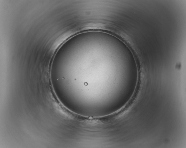 X0000111161129200906301354