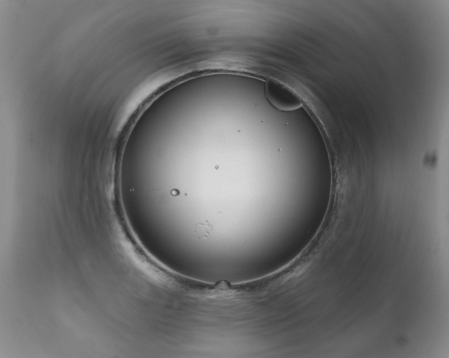 X0000111161131200906301354