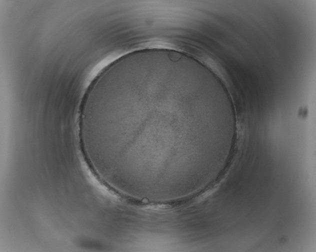 X0000111161133200906301354