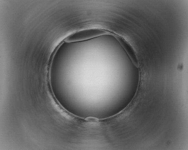 X0000111161134200906301354