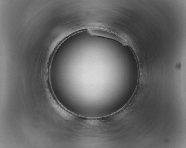 X0000111161136200906301354