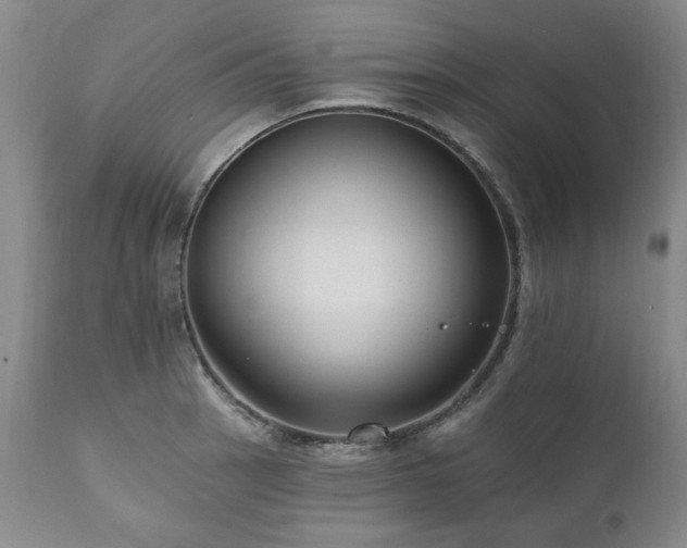 X0000111161137200906301354