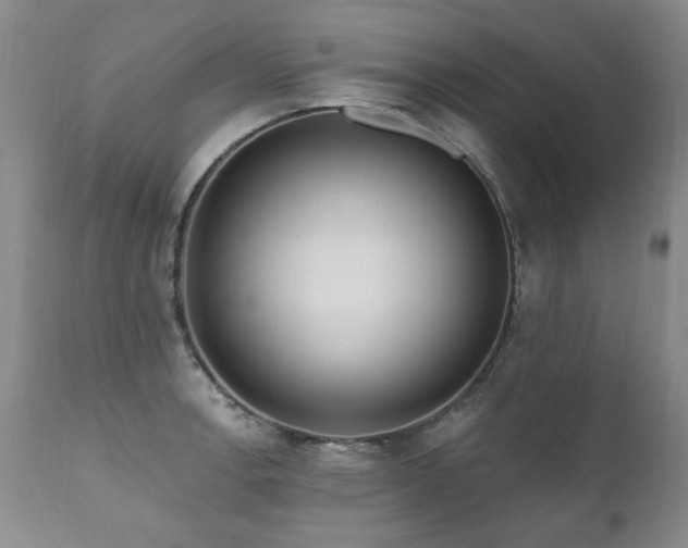 X0000111161138200906301354