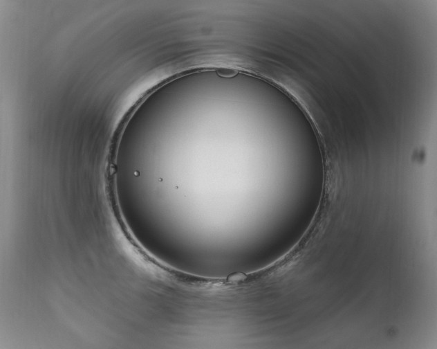 X0000111161139200906301354