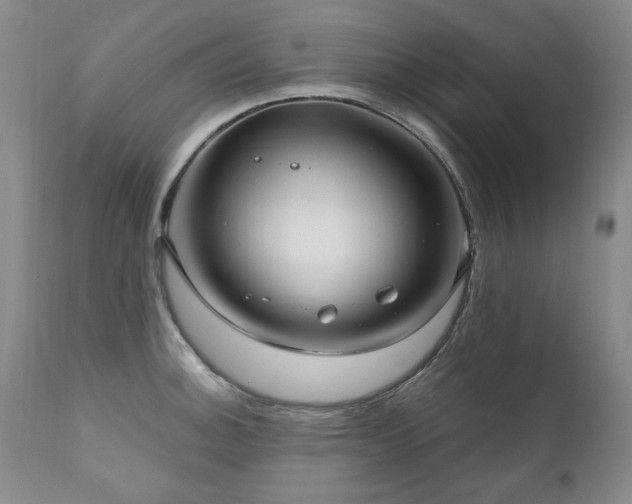 X0000111161140200906301354