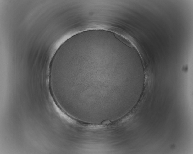 X0000111161143200906301354