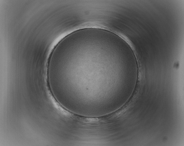 X0000111161144200906301354