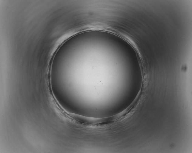 X0000111161146200906301354