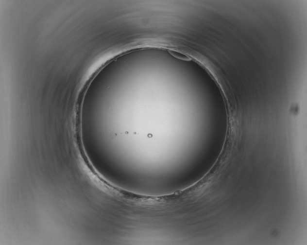 X0000111161147200906301354