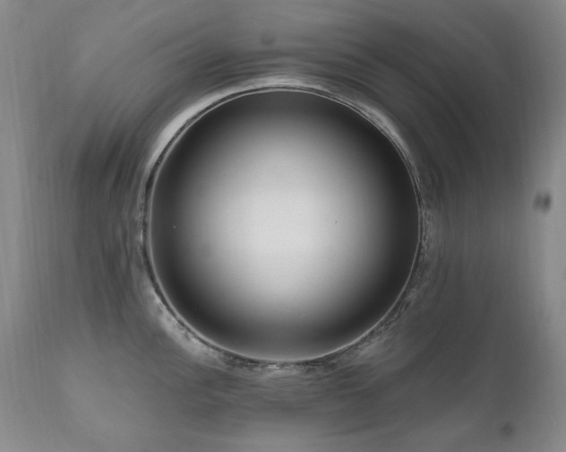 X0000111161148200906301354