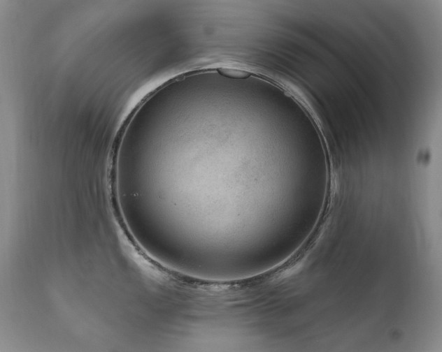 X0000111161149200906301354