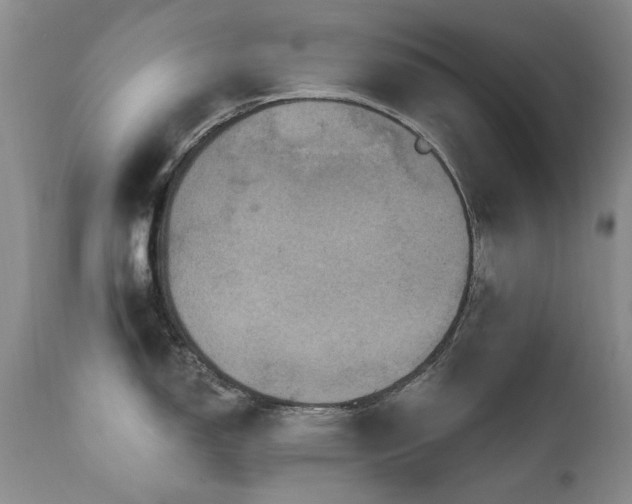 X0000111161150200906301354