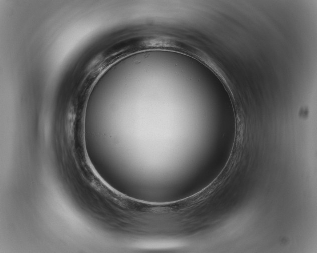 X0000111161151200906301354