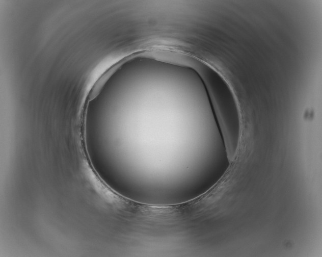 X0000111161152200906301354