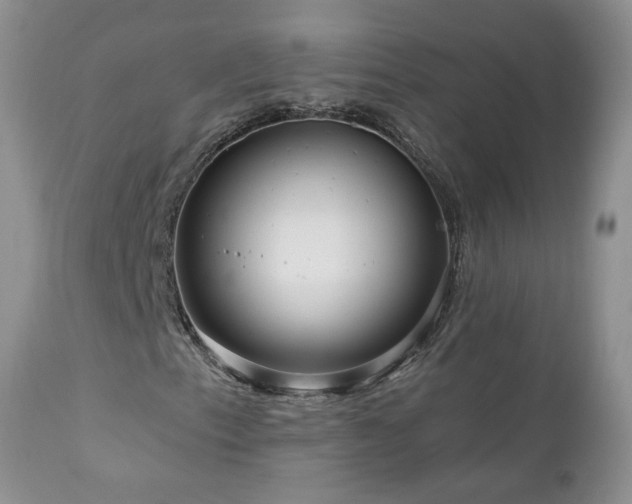 X0000111161153200906301354