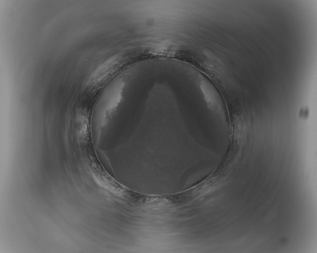 X0000111161154200906301354