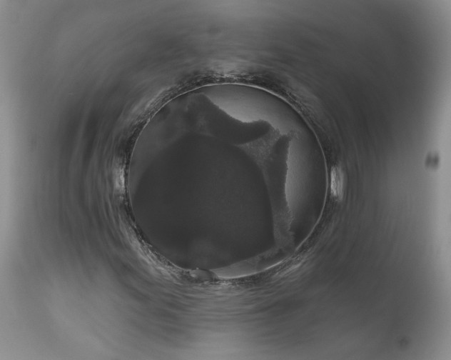 X0000111161155200906301354