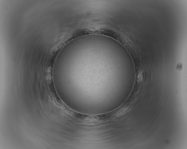 X0000111161156200906301354