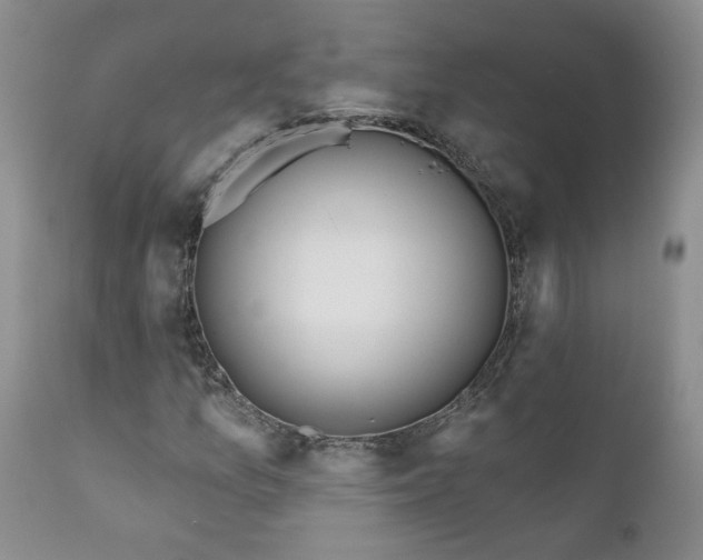X0000111161157200906301354