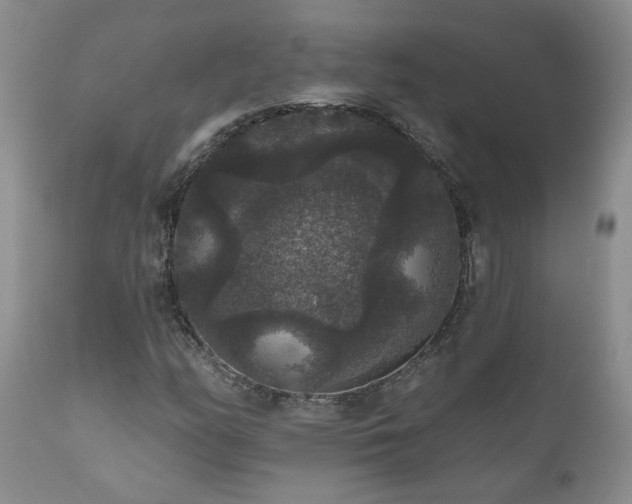 X0000111161158200906301354