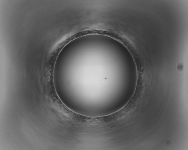 X0000111161159200906301354