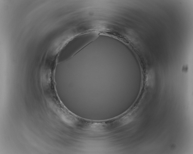 X0000111161161200906301354
