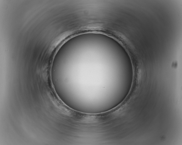 X0000111161162200906301354