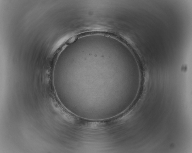 X0000111161163200906301354