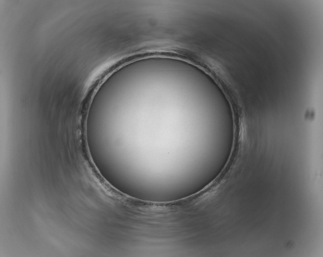 X0000111161164200906301354