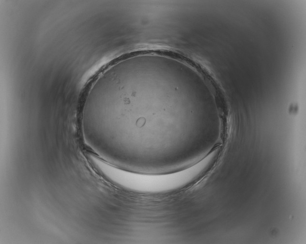X0000111161165200906301354