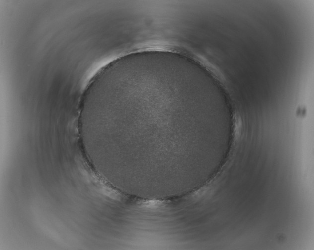 X0000111161166200906301354